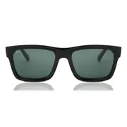 Ray-Ban RB4396 Warren 667771