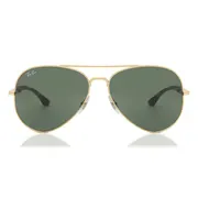Ray-Ban RB3675 001/31