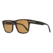 Tom Ford FT1205 CALDER 52E, Tortoiseshell frame, Bronze Brown lenses, view 2