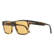 Tom Ford FT1205 CALDER 56E, Tortoiseshell frame, Bronze Brown lenses, view 2