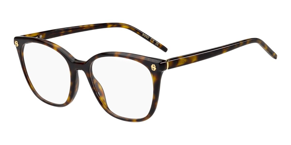 BOSS 2017 086, Tortoiseshell frame