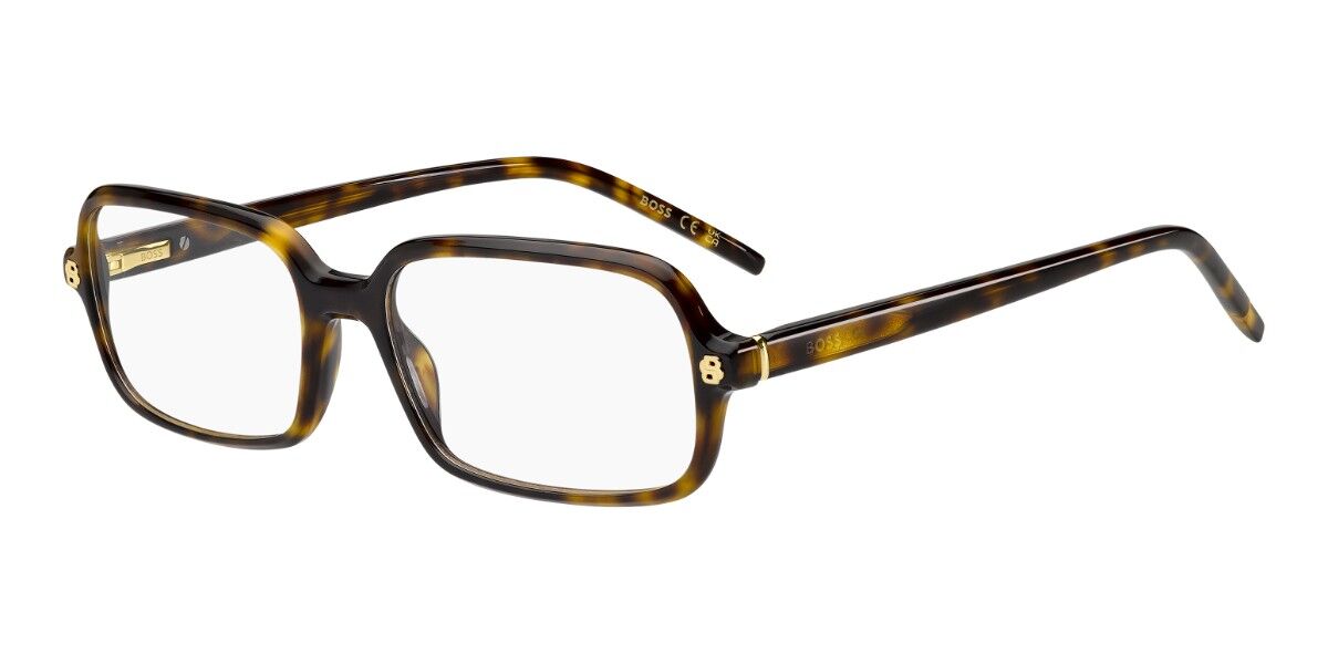 BOSS 2019 086, Tortoiseshell frame