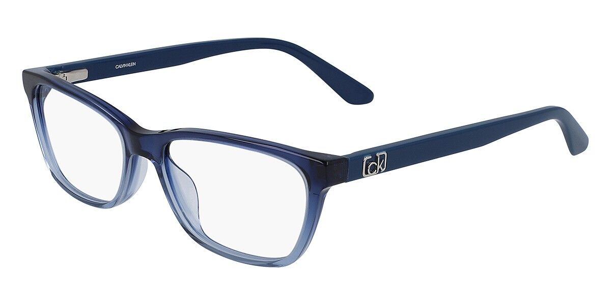Calvin Klein CK20530 403, Blue frame