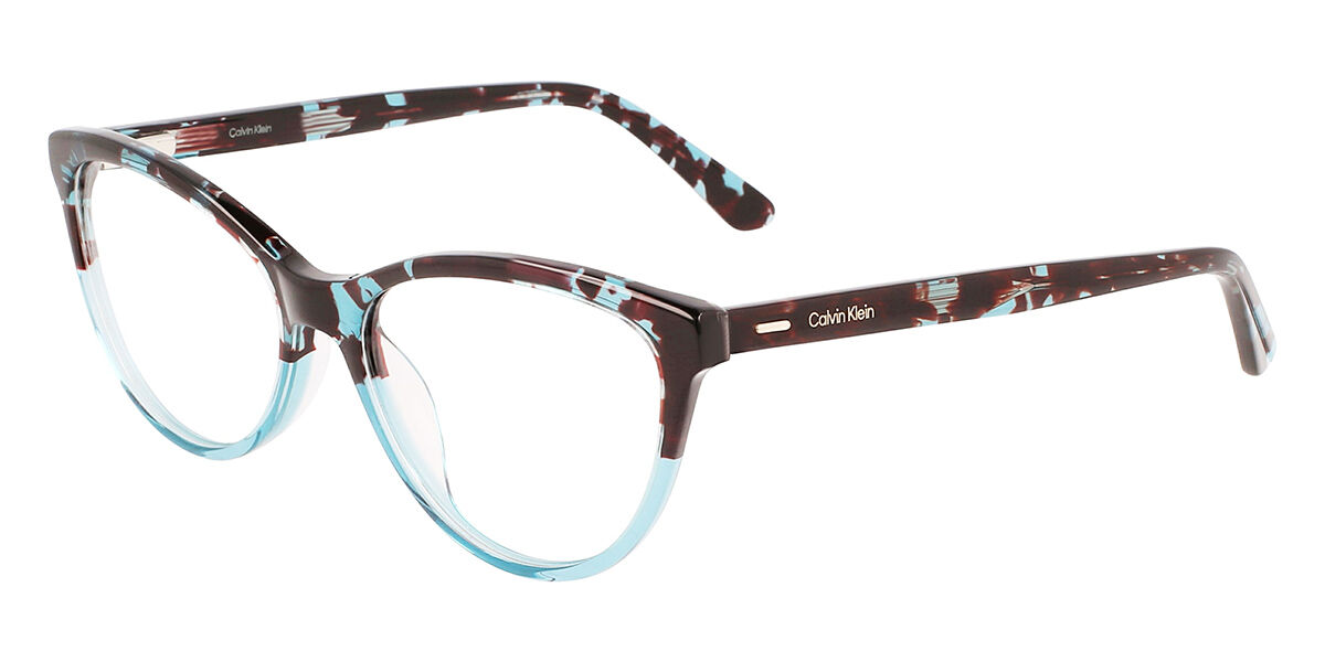 Calvin Klein CK21519 454, Blue frame