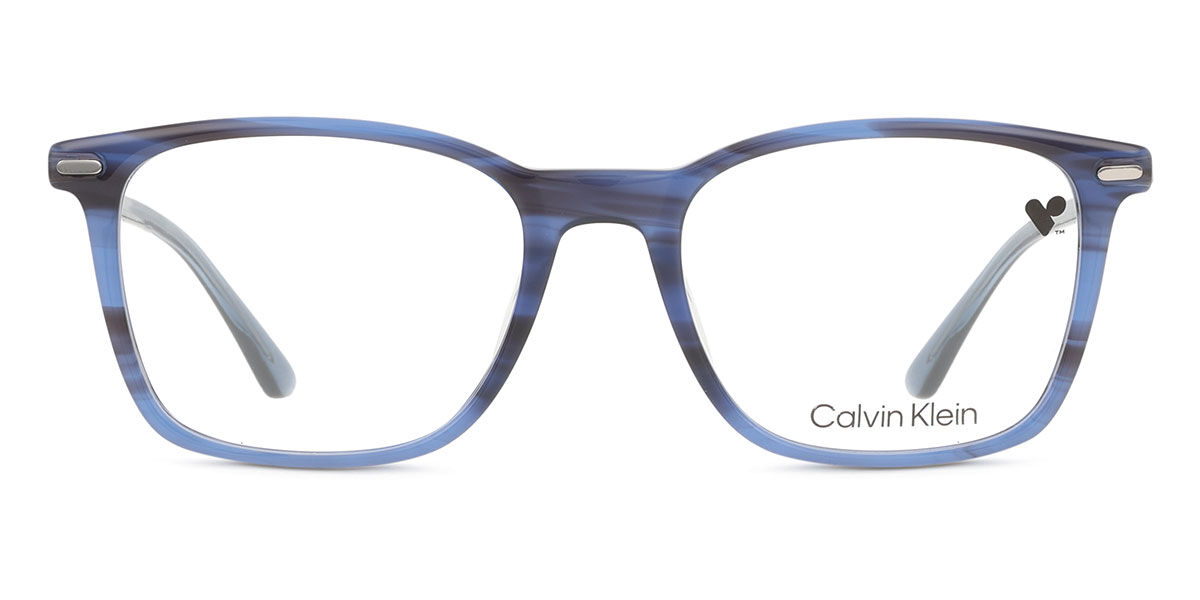 Calvin Klein CK22541 420, Blue frame