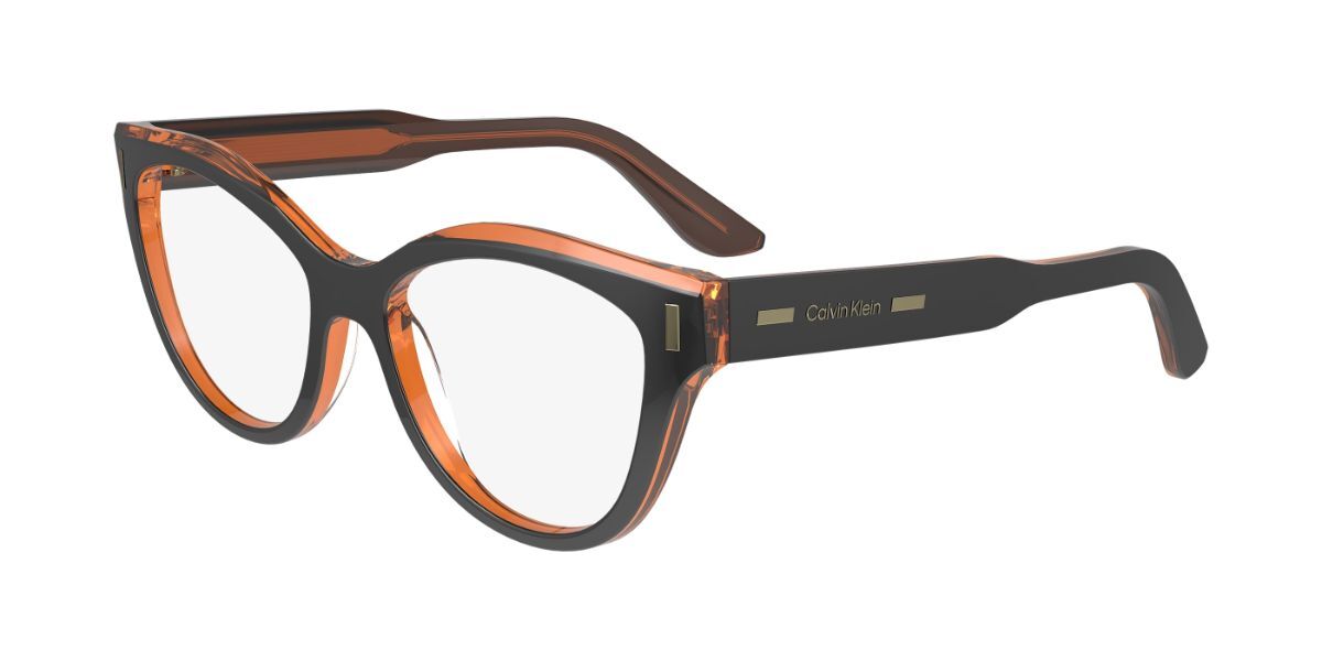 Calvin Klein CK23541 008, Black frame