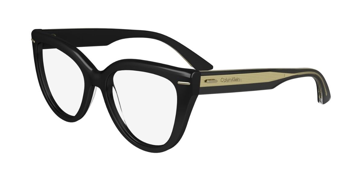 Calvin Klein CK24514 001, Black frame