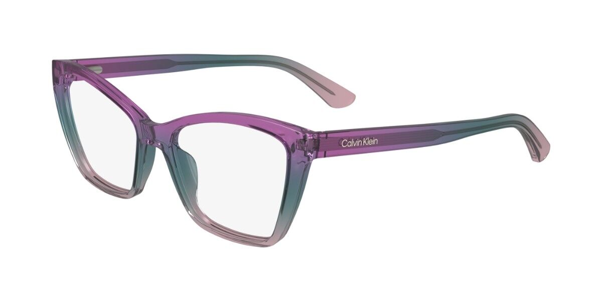 Calvin Klein CK24523 503, Blue frame