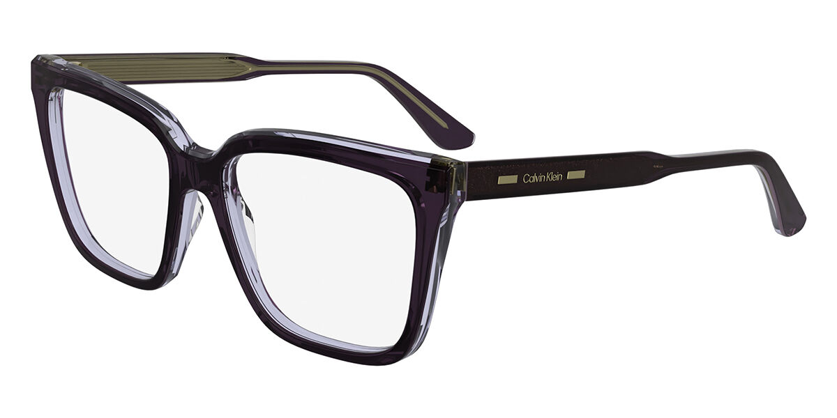 Calvin Klein CK24541 504, Purple frame