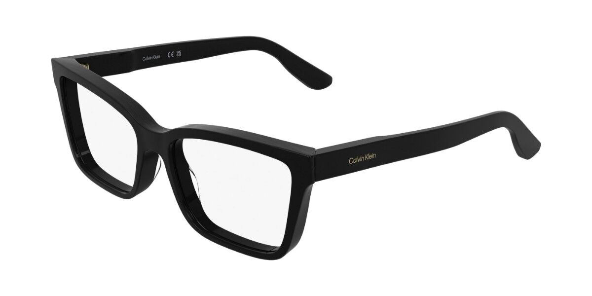 Calvin Klein CK25543 001, Black frame