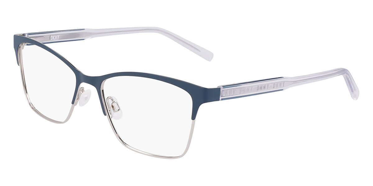 DKNY DK3008 440, Blue frame