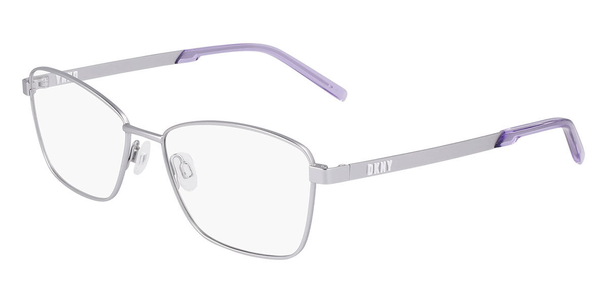DKNY DK1035 040, Silver frame
