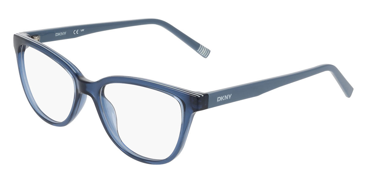 DKNY DK5089 400, Blue frame