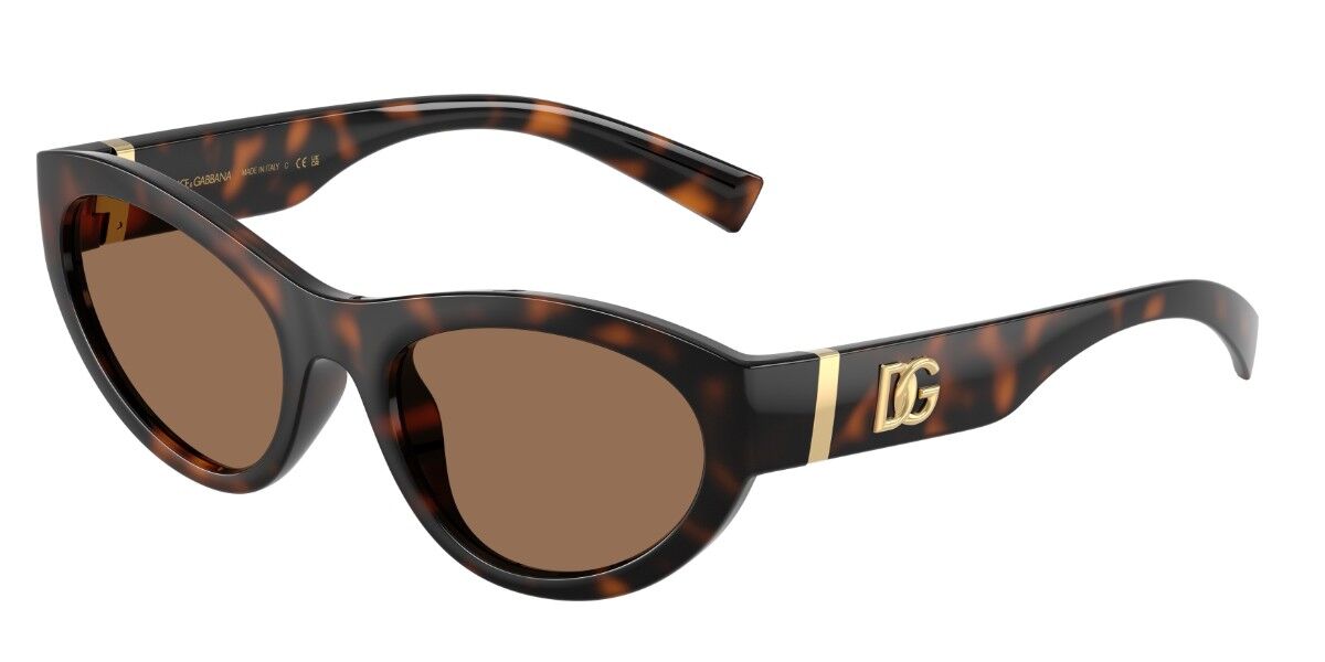 Dolce & Gabbana DG6207 502/73, Tortoiseshell frame, Dark Brown lenses