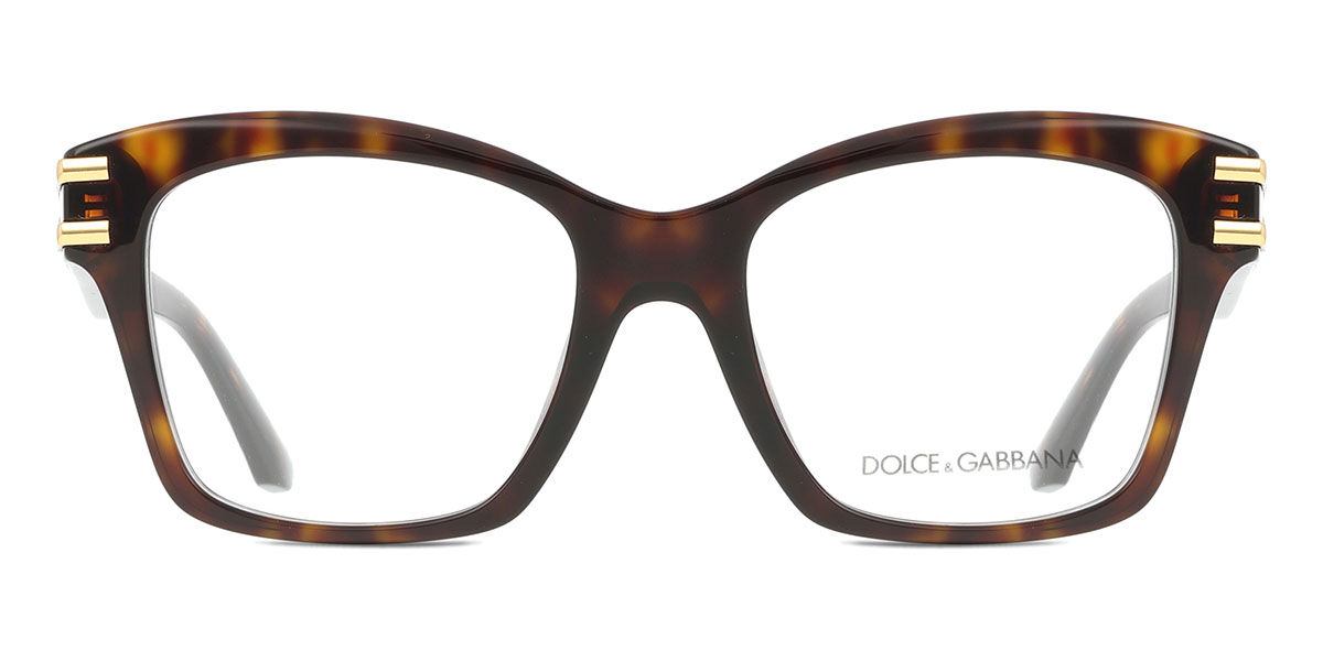 Dolce & Gabbana DG3419 502, Tortoiseshell frame