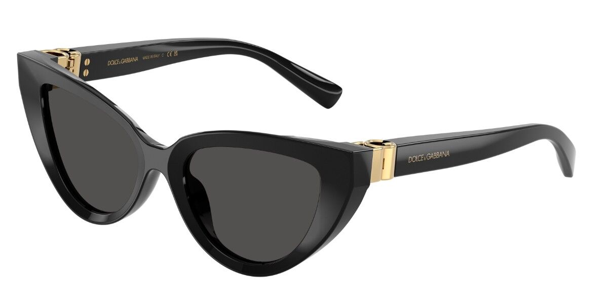 Dolce & Gabbana DG4497 501/87, Black frame, Dark Grey lenses