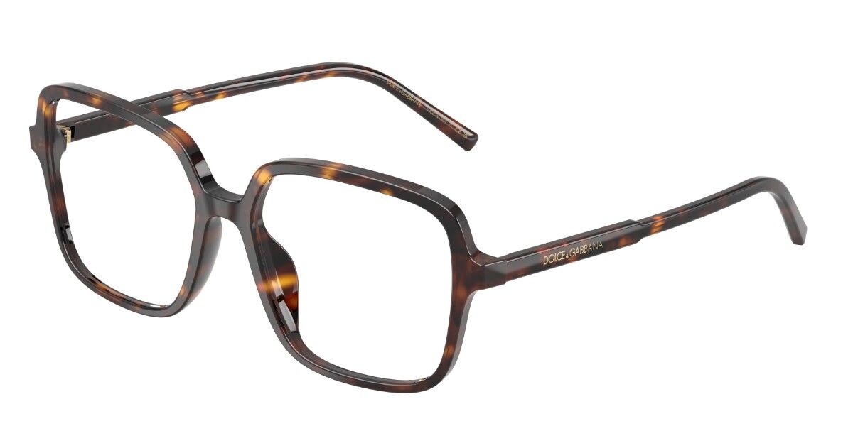 Dolce & Gabbana DG3442 502, Tortoiseshell frame