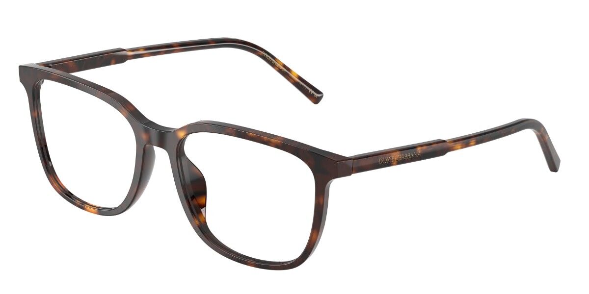 Dolce & Gabbana DG3445 502, Tortoiseshell frame