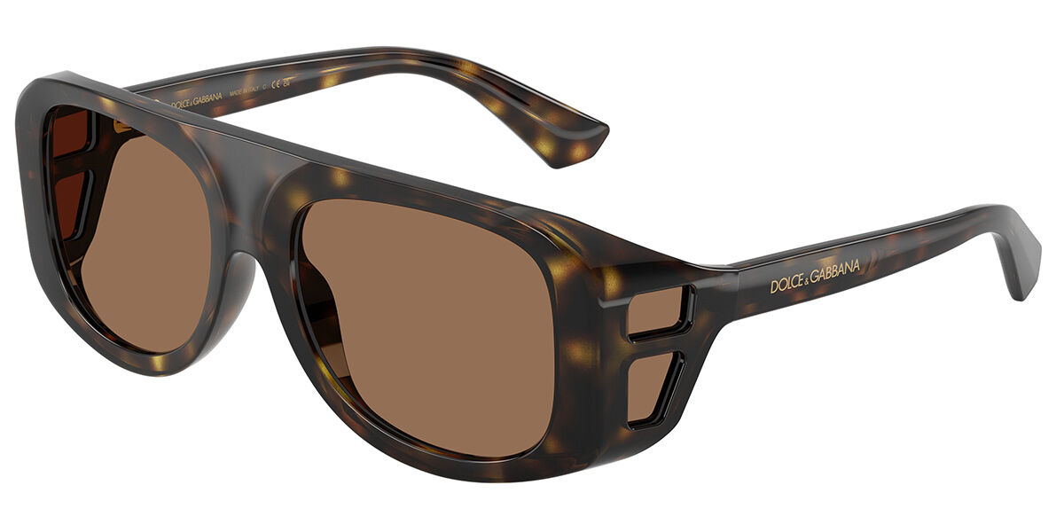 Dolce & Gabbana DG6208 502/73, Dark Brown lenses