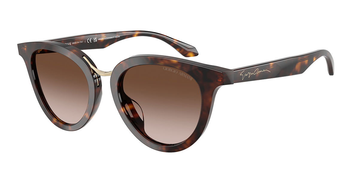 Giorgio Armani AR8252U 612413, Gradient Brown lenses