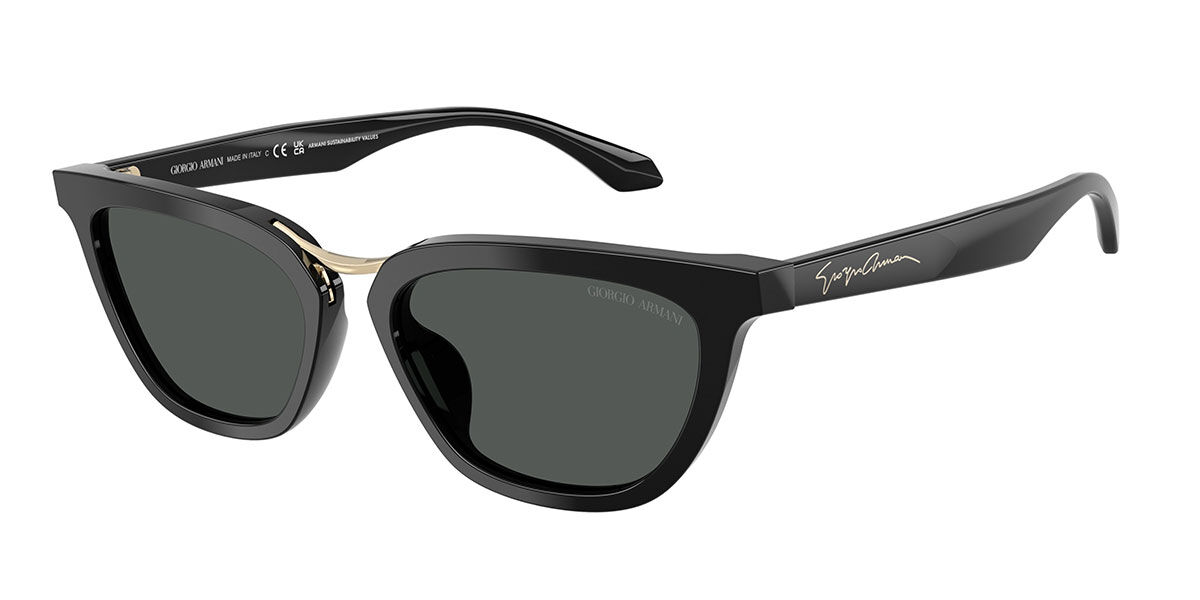 Giorgio Armani AR8253U 501787, Dark Grey lenses