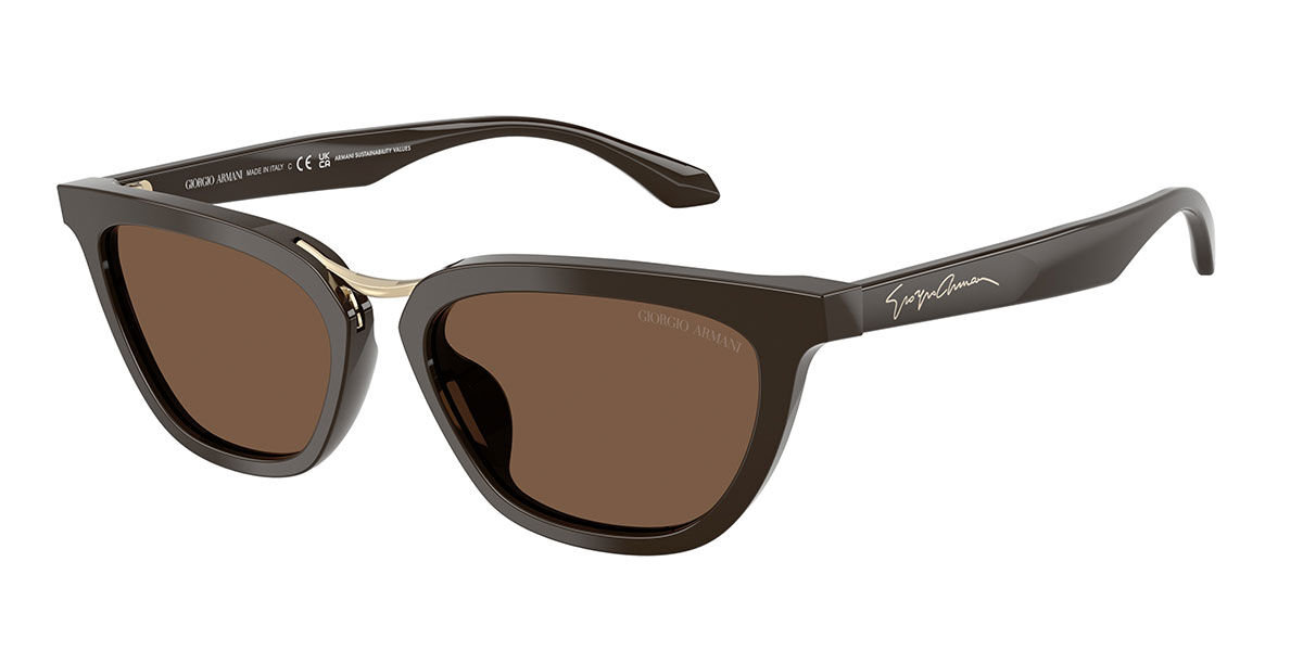 Giorgio Armani AR8253U 639873, Brown lenses