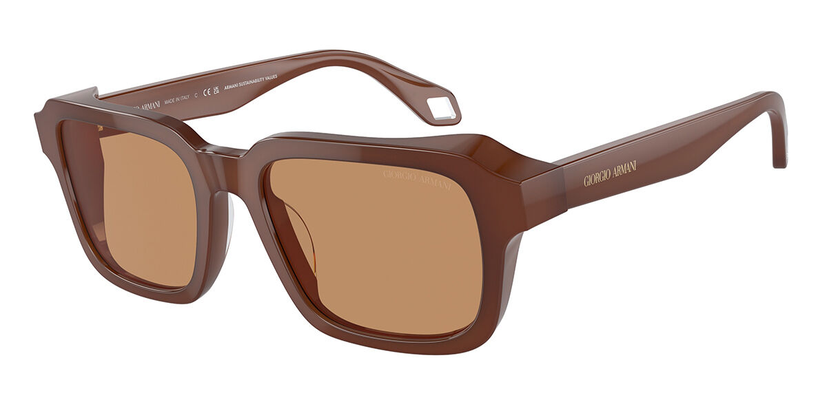 Giorgio Armani AR8194U 604253, Brown frame, Brown lenses