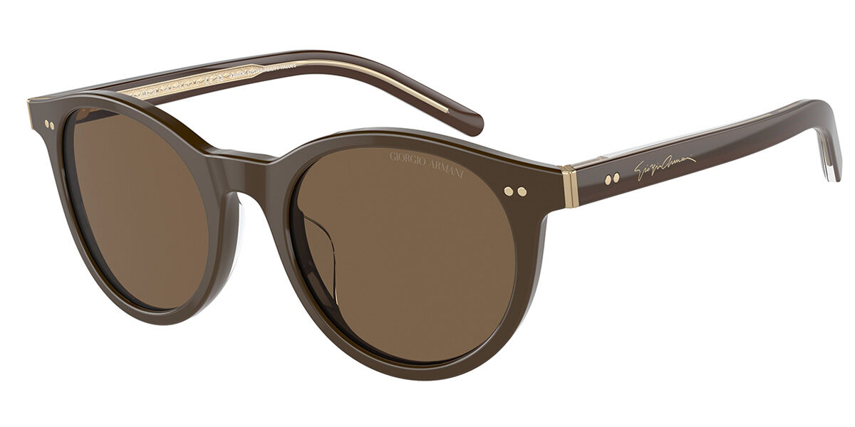 Giorgio Armani AR8199U 604073, Brown frame, Dark Brown lenses