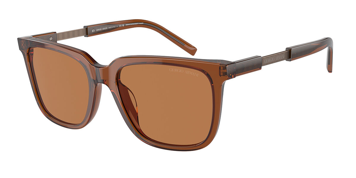 Giorgio Armani AR8202U 604973, Brown frame, Brown lenses