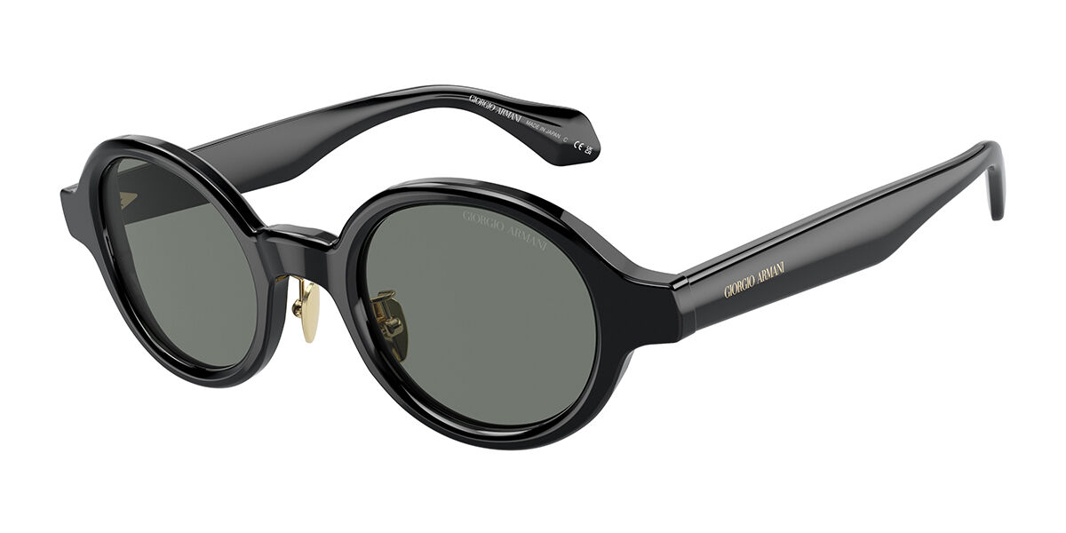 Giorgio Armani AR8205 6060/1, Grey lenses