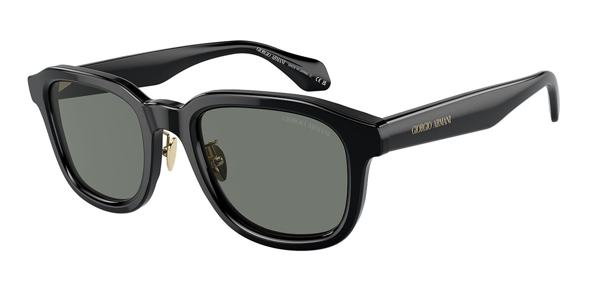 Giorgio Armani AR8206 6060/1, Grey lenses
