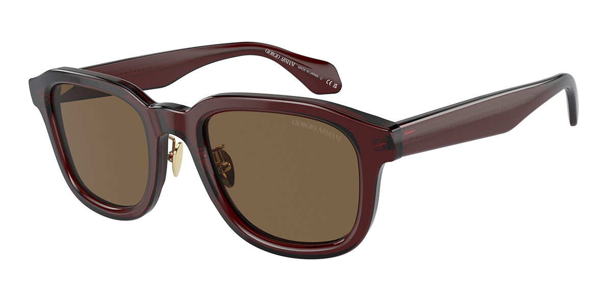 Giorgio Armani AR8206 606273, Dark Brown lenses