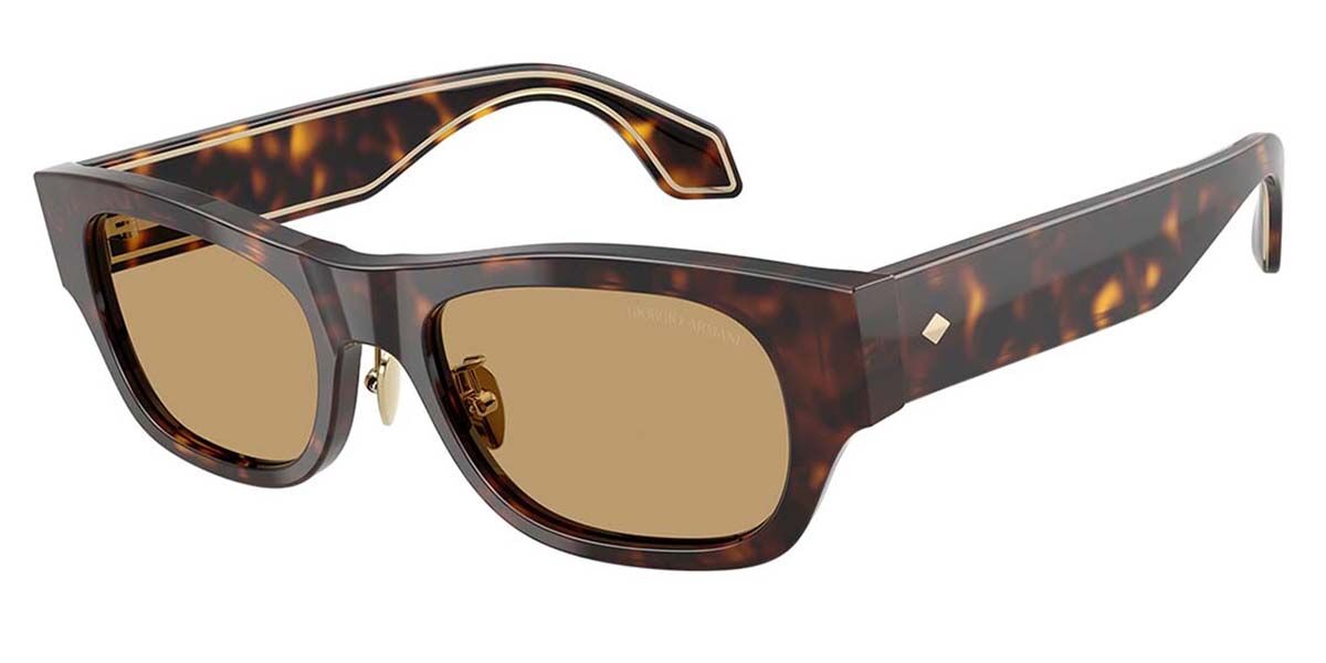 Giorgio Armani AR8224 502673, Tortoiseshell frame, Brown lenses