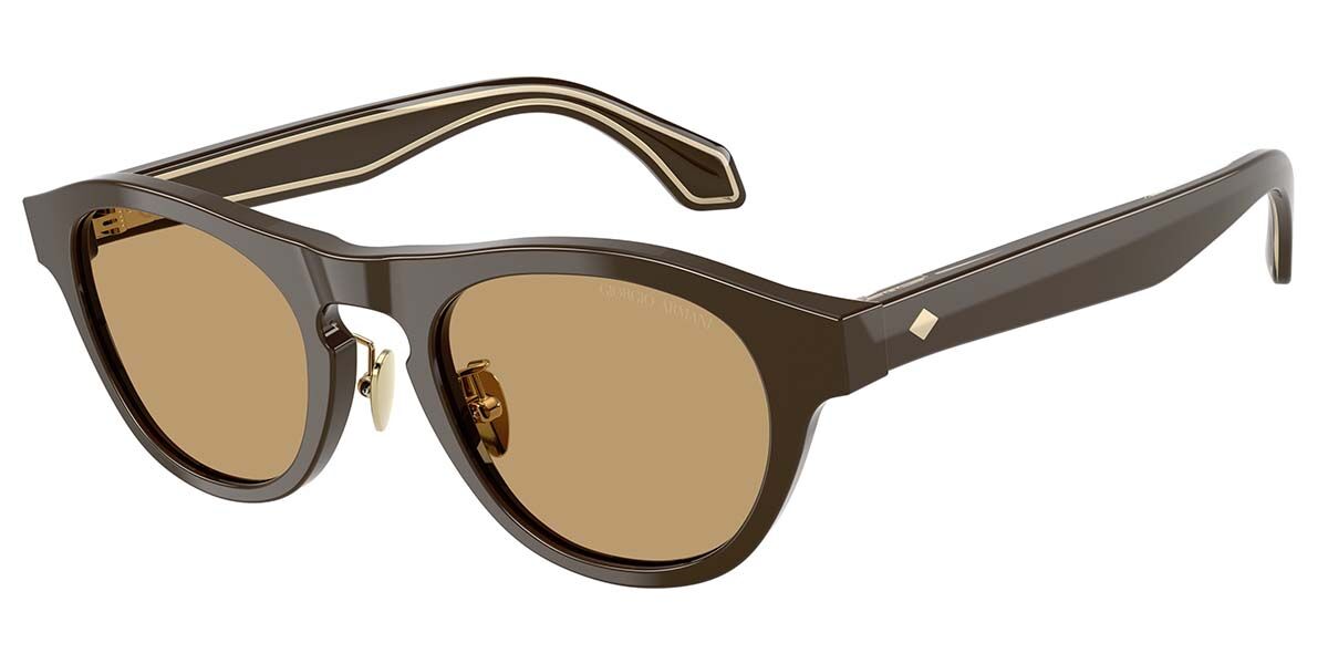 Giorgio Armani AR8225 619473, Brown frame, Brown lenses