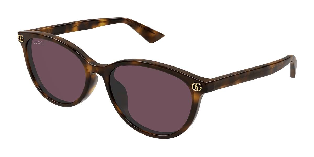 Gucci GG1818SK Asian Fit 002, Tortoiseshell frame, Violet lenses