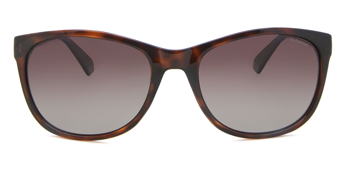 Polaroid PLD 4099/S 086/LA, Tortoiseshell frame, Brown lenses
