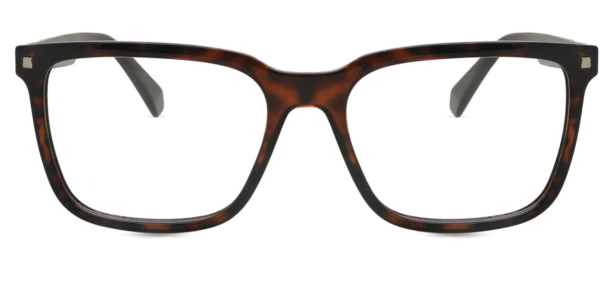 Polaroid PLD D436 086, Tortoiseshell frame