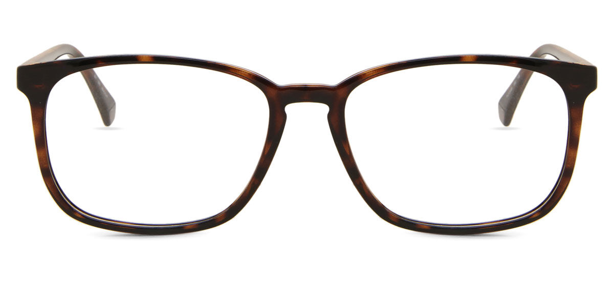 Polaroid PLD D488 086, Tortoiseshell frame