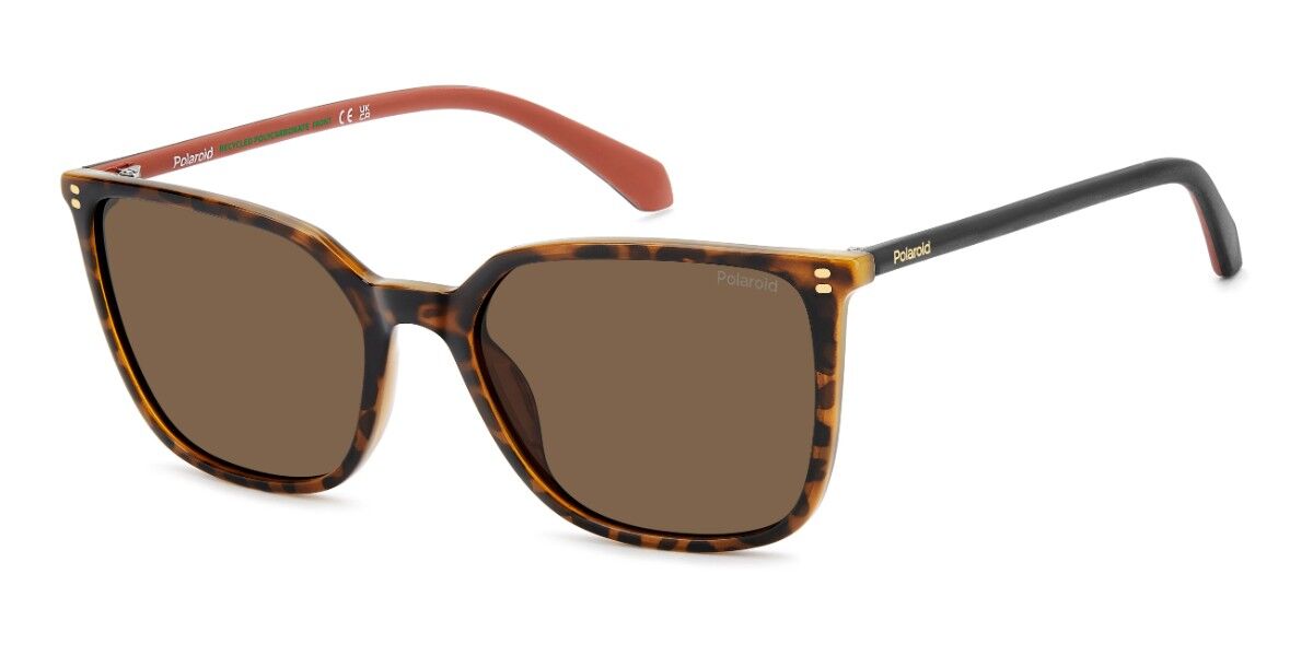 Polaroid PLD 4209/S/X 086/SP, Tortoiseshell frame, Brown lenses