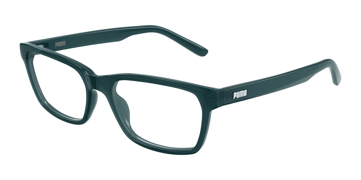 Puma PU0528O 004, Blue frame