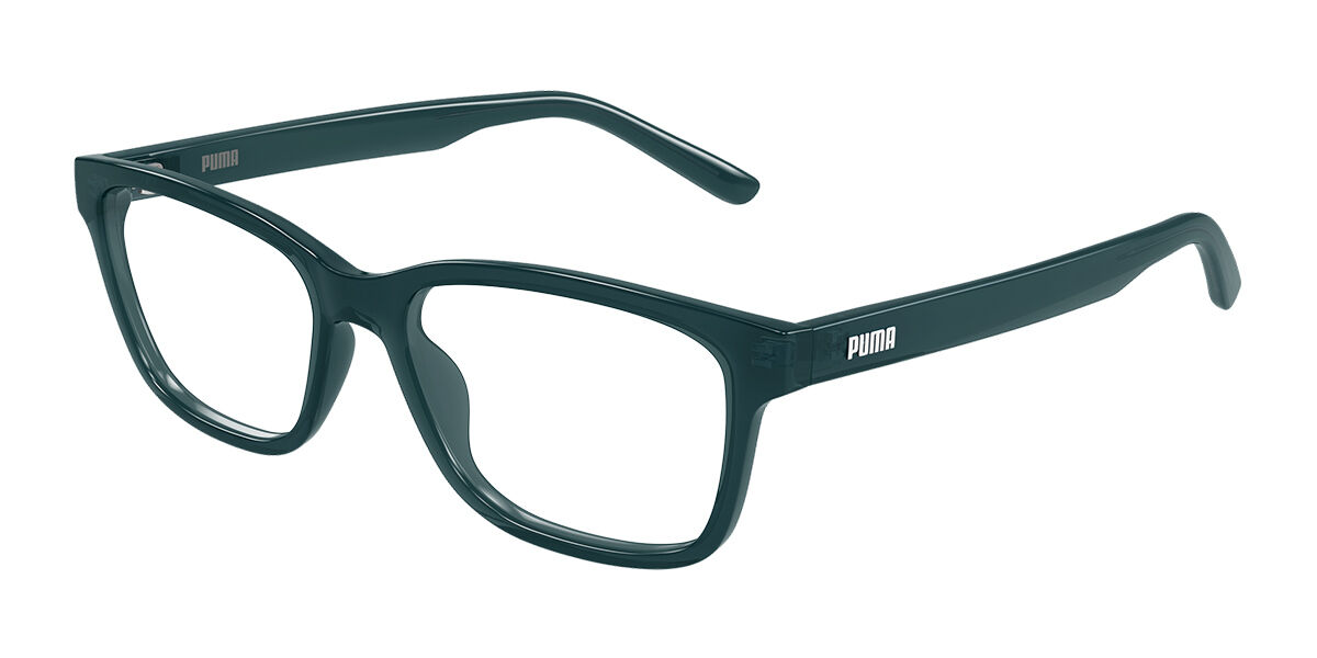 Puma PU0529O 004, Blue frame