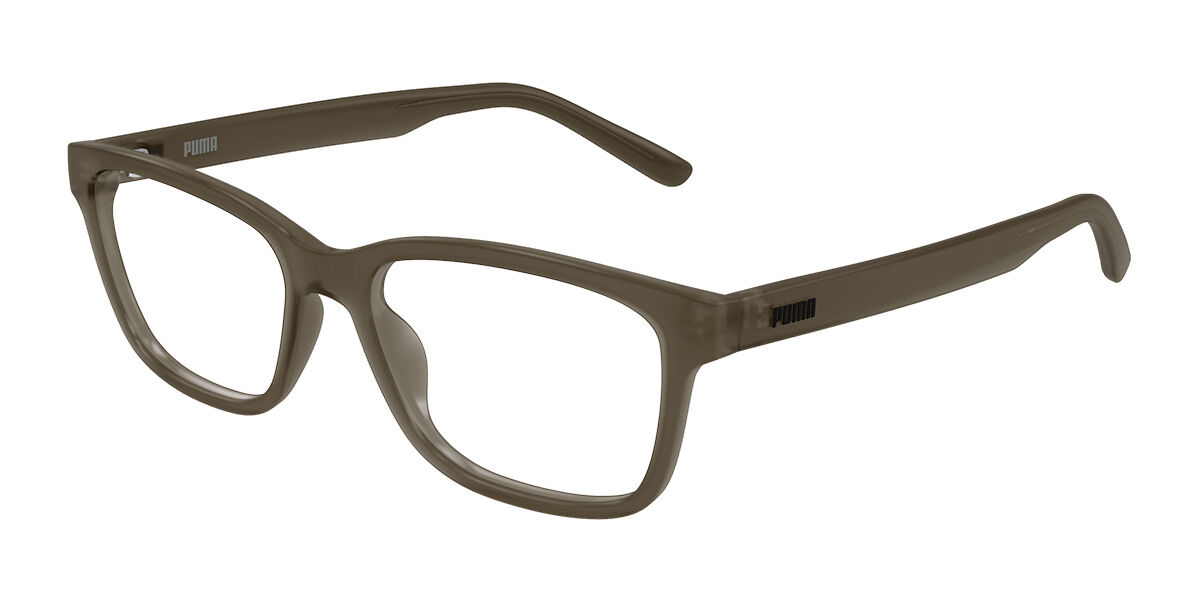 Puma PU0529O 005, Brown frame