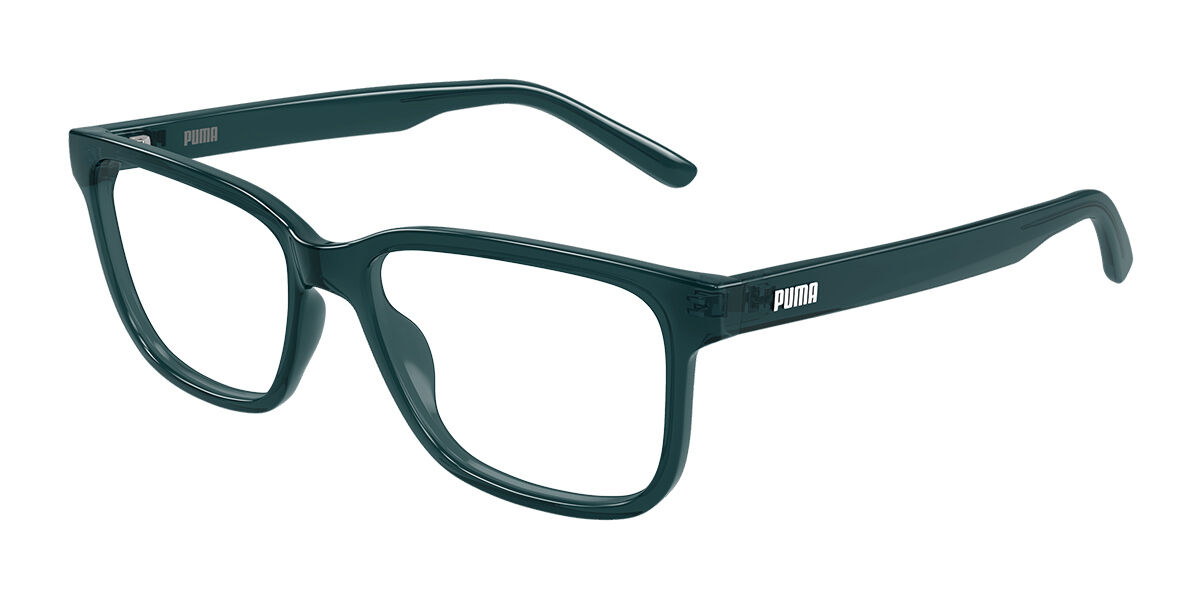 Puma PU0530O 004, Blue frame
