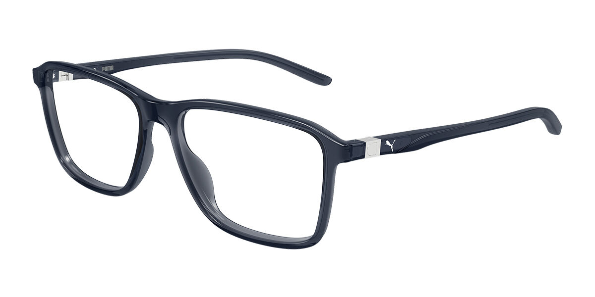 Puma PU0536O 003, Blue frame