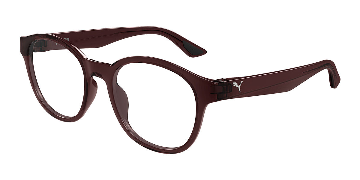 Puma PU0540O 003, Brown frame