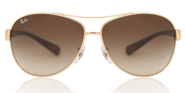 Ray-Ban RB3386 Active Lifestyle 001/13, Gold frame