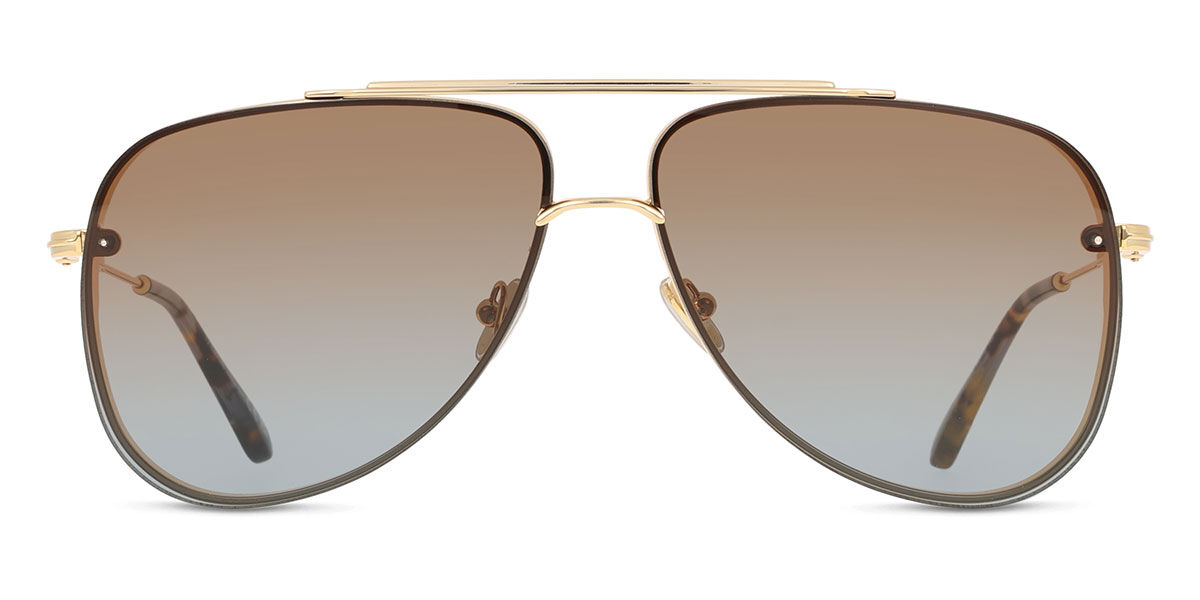 Tom Ford FT1071 LEON 30F, Gold frame, Gradient Dark Brown lenses
