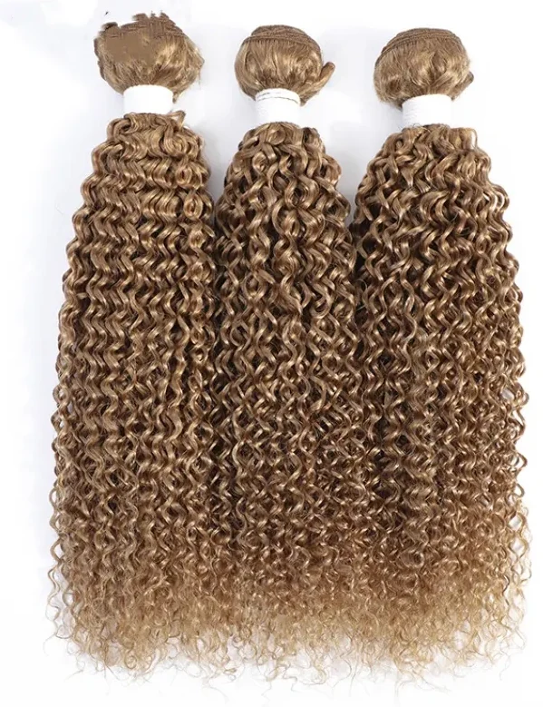 Brazilian Human Hair 3 Bundles With 4*4 Lace Closure 27# Color Kinky Curly Yirubeauty Virgin Hair Wefts With Closure Free Part, view 3